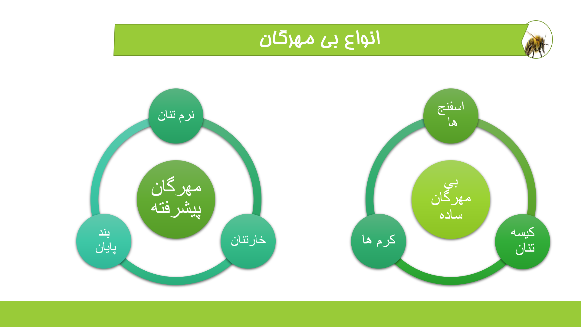 پاورپوینت در مورد بی مهرگان 